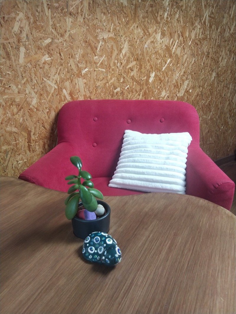 Fauteuil et plante dans l'espace d'attente du cabinet